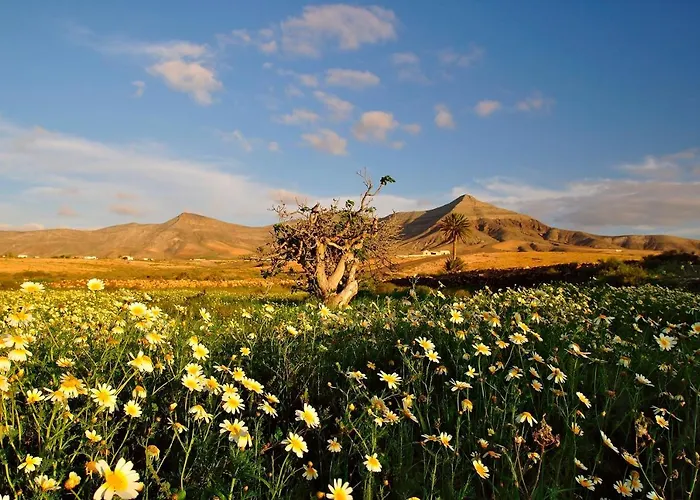 Be&ba Chinijo * גראן טאראחל
