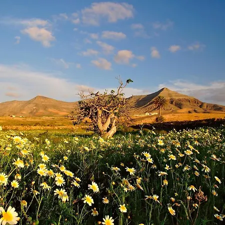 Be&ba Chinijo * グラン・タラハル